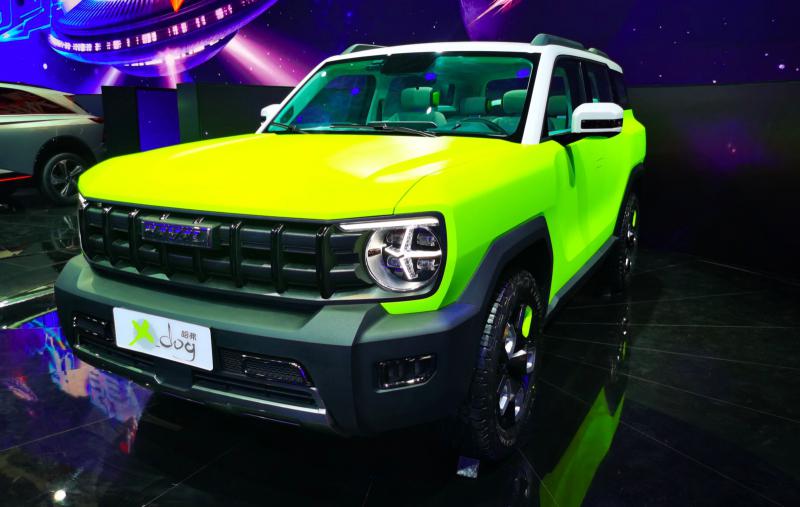 Haval x dog
