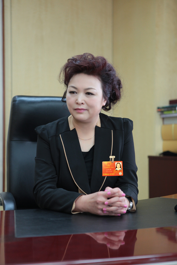 全国人大代表王凤英2016年两会议案建议