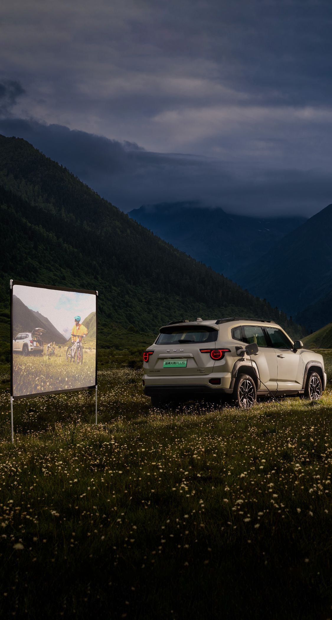 尊龙凯时 - 人生就是搏!