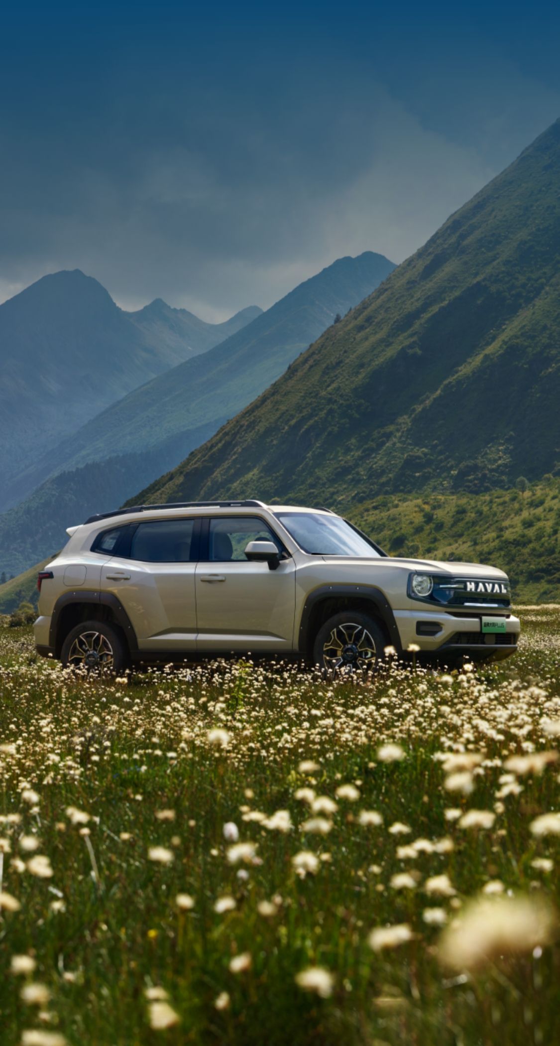 尊龙凯时 - 人生就是搏!