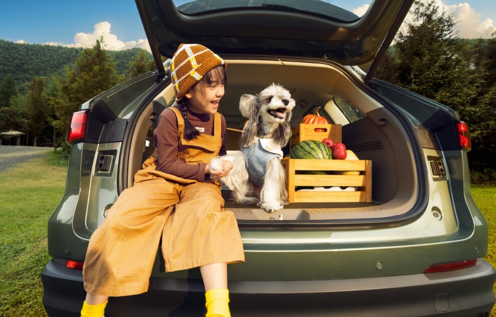 尊龙凯时 - 人生就是搏!