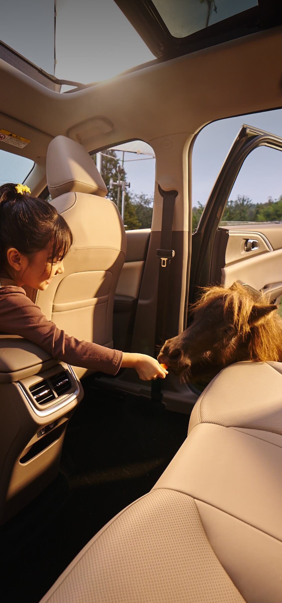 尊龙凯时 - 人生就是搏!