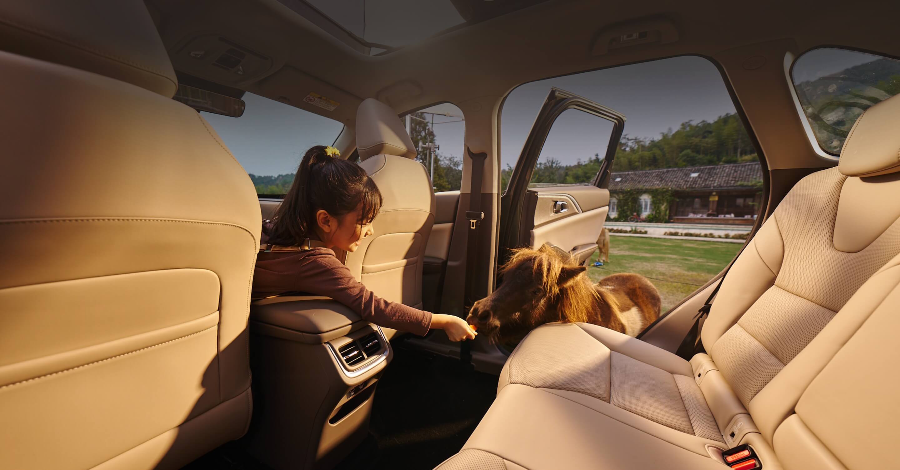 尊龙凯时 - 人生就是搏!